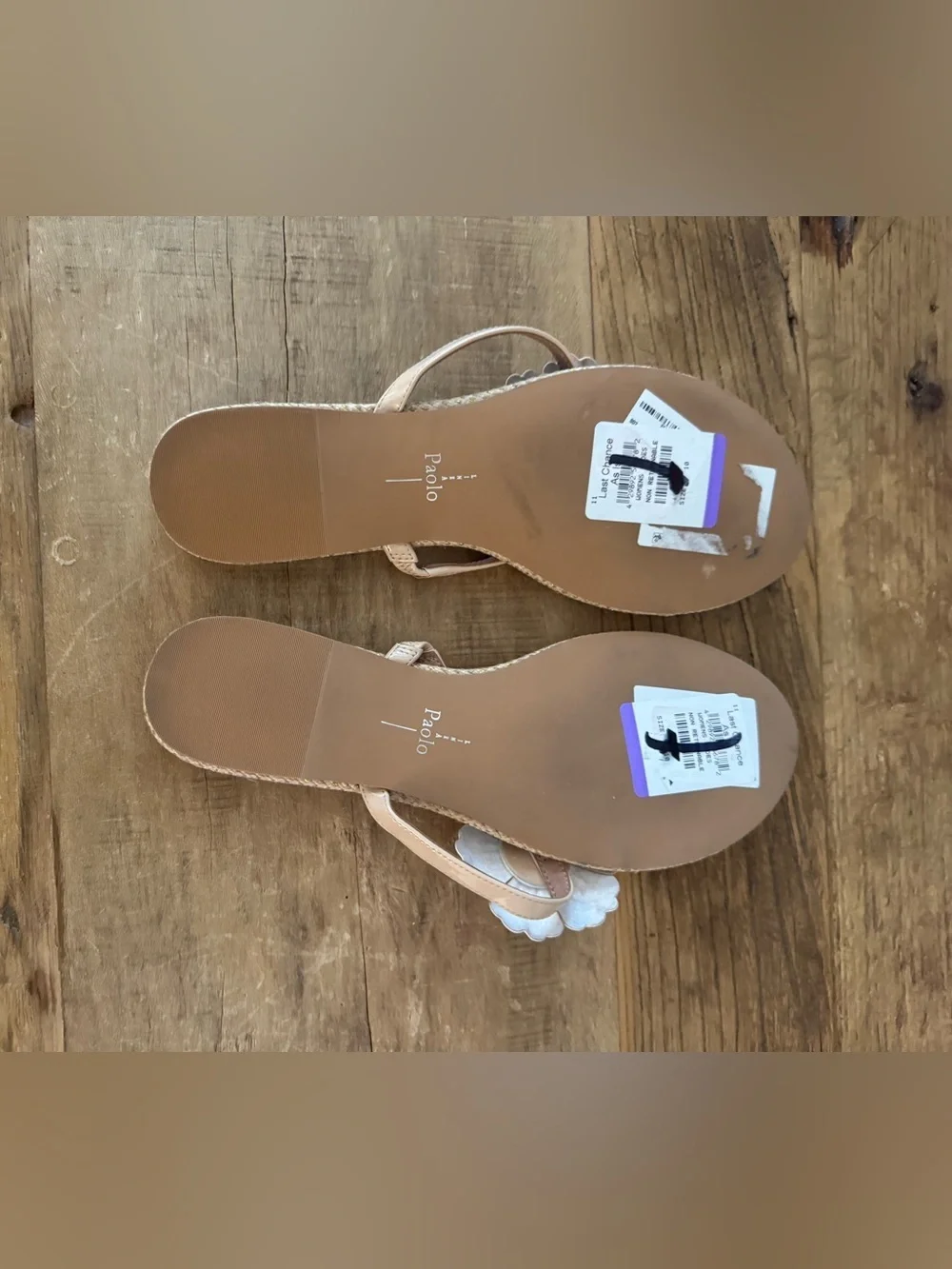 Linea Paolo Laurel Flower Sandal ~ Nude Size 10